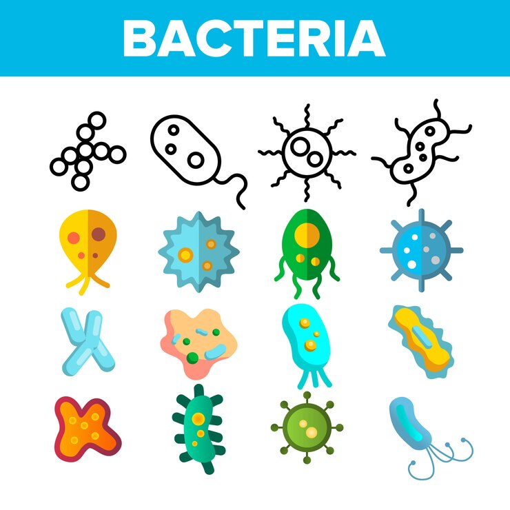 Vector bacterias, células bacterianas
