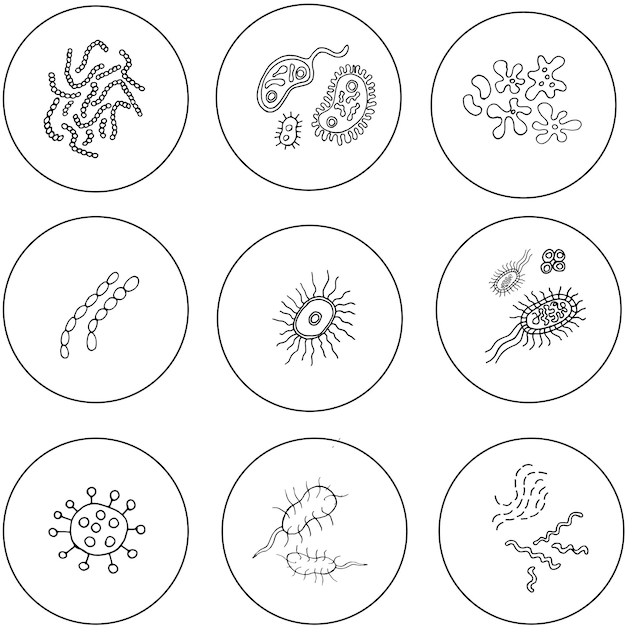 Vector bacterias células microbios y virus iconos set vector