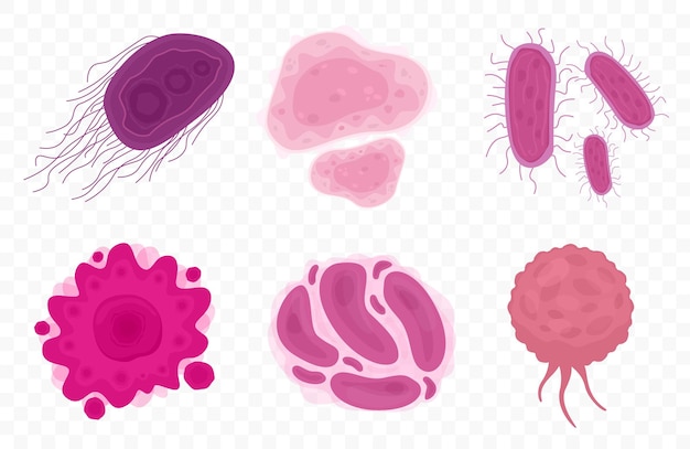 Bacterias y células de virus aisladas sobre fondo transparente Microorganismos