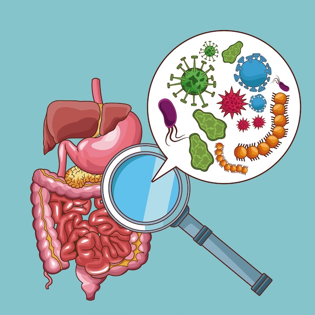 Las bacterias del dolor de estómago y las caricaturas de virus