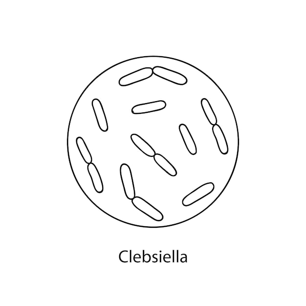 Bacterias patógenas microorganismo bacteriano microbiología infografías estilo doodle dibujado a mano