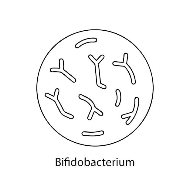 Vector bacterias patógenas microorganismo bacteriano microbiología infografías estilo doodle dibujado a mano