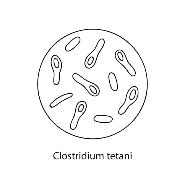 Bacterias patógenas microorganismo bacteriano microbiología infografías estilo doodle dibujado a mano