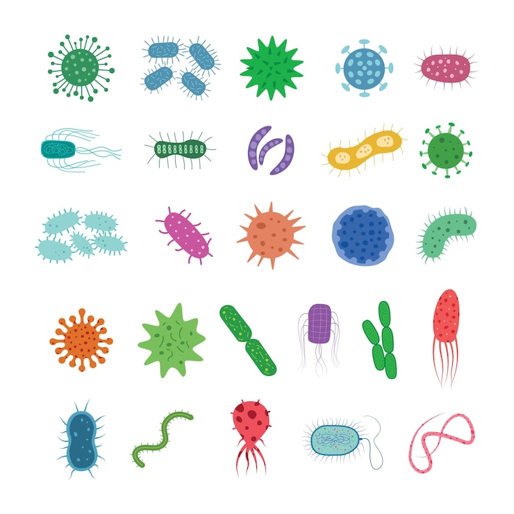 Vector bacterias virus microbios gérmenes que causan la enfermedad conjunto 2