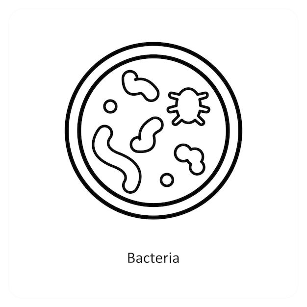 Las bacterias