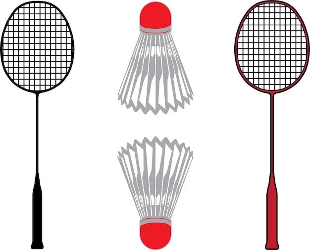 Badminton Birdie y Racket Badminton Racket Shuttlecock (Juega con la raqueta)