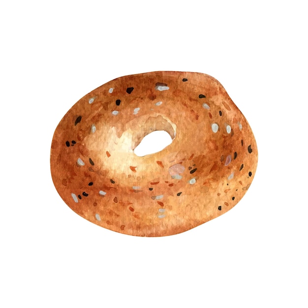 Vector bagel entero fresco con acuarela de sésamo ilustración aislada sobre fondo blanco pan de desayuno dibujado a mano para panadería bagel pintado elemento para diseño señalización embalaje de libro de cocina