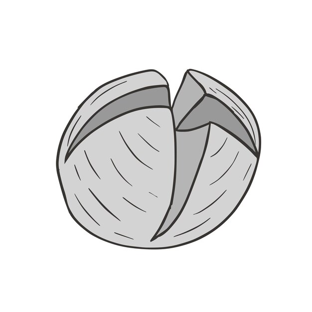 Bakso comida indonesia bola de carne dibujado a mano Doodle ilustración vectorial