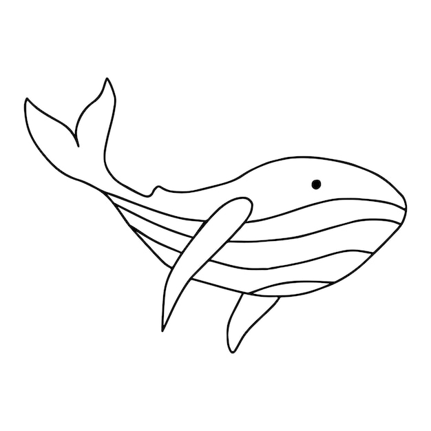 Vector ballena de arte de línea dibujada a mano de garabato lindo