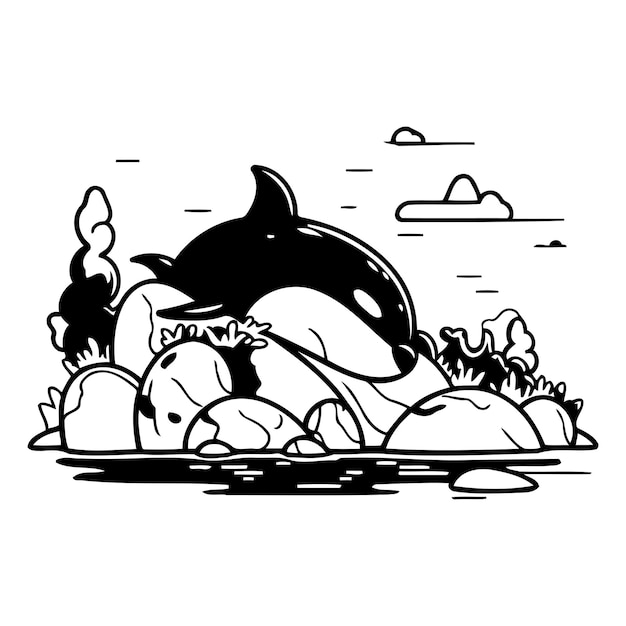 La ballena asesina de dibujos animados en la roca en el mar ilustración vectorial