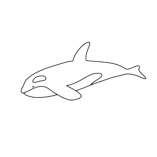 Ballena asesina de natación vectorial aislada sobre fondo blanco Esquema dibujado a mano doodle ilustración océano o animal submarino