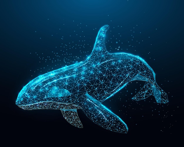 Ballena asesina wireframe brillante bajo poli orca ballena diseño sobre fondo azul oscuro resumen ilustración vectorial futurista