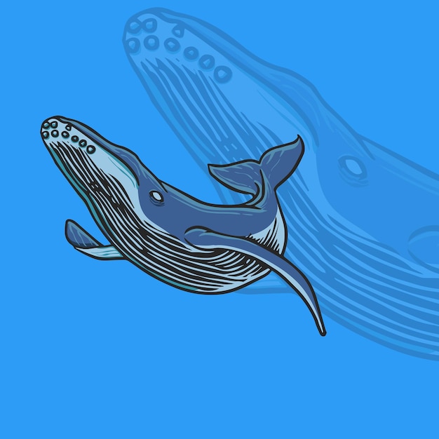 Vector una ballena azul con una gran cola nada en el agua.