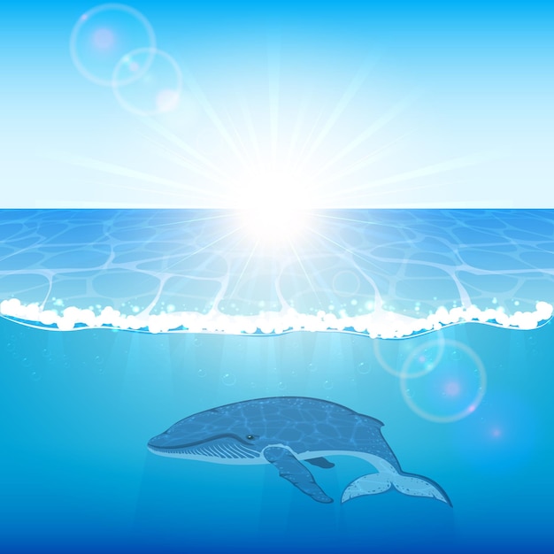 Vector la ballena azul nada en la ilustración del océano