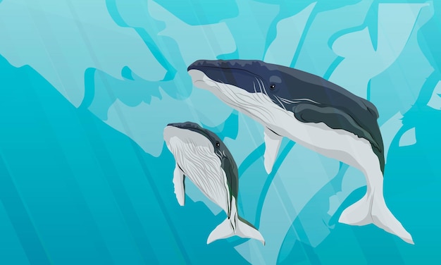 Una ballena jorobada y su cría nadan en aguas azules Paisaje vectorial realista