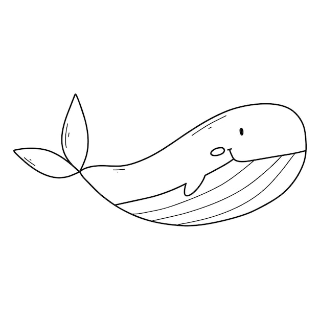 Vector ballena linda en estilo garabato ballena bebé lineal aislada sobre fondo blanco ilustración vectorial