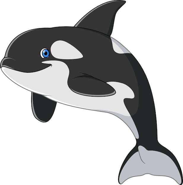 Ballena orca nadando y sonriendo dibujos animados