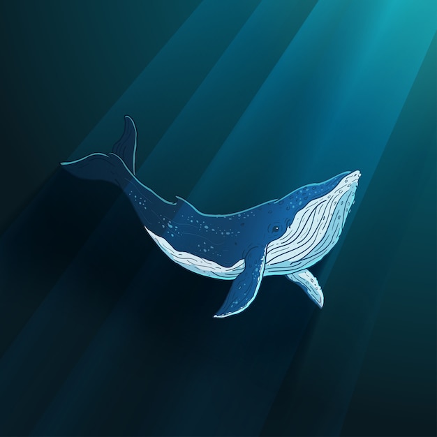 Vector ballena