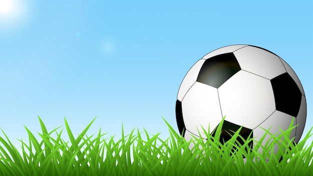 Balón de fútbol sobre la hierba verde contra el cielo azul y el sol