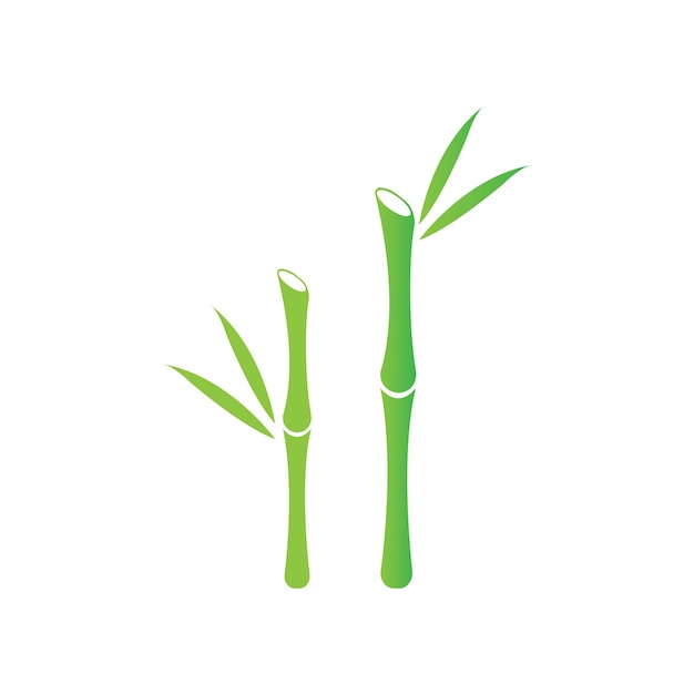 Bambú con plantilla de icono de vector de hoja verde
