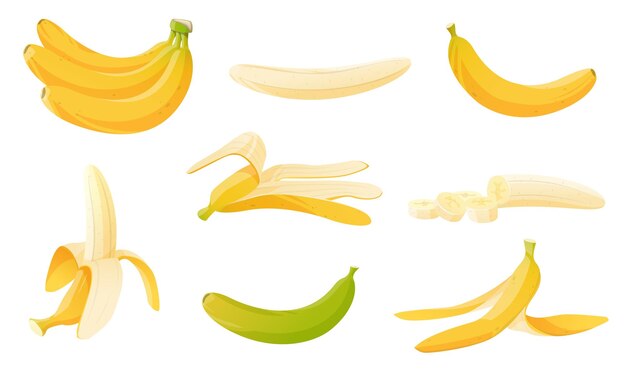 Banana de dibujos animados Ramo de frutas tropicales enteras y rebanadas cáscara amarilla madura e inmadura Basura orgánica Deslizándose sobre la cáscara Producto dietético Recycling de basura Ingredientes vegetales conjunto vectorial