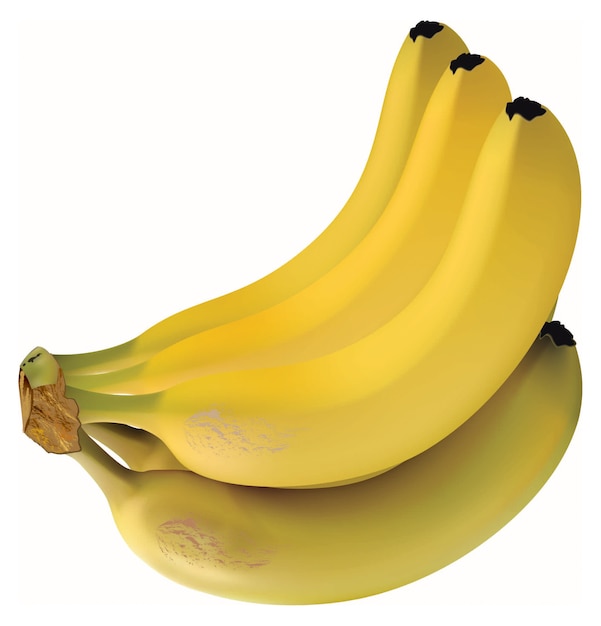 Vector banana realistik
