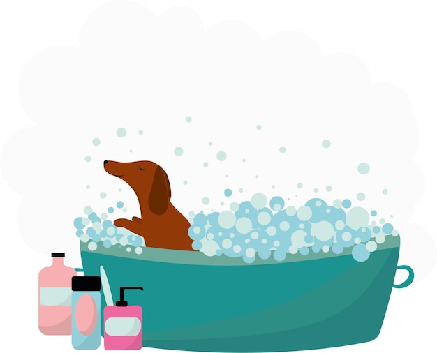 Bañar a una mascota Baño de perro Imagen vectorial de alta calidad