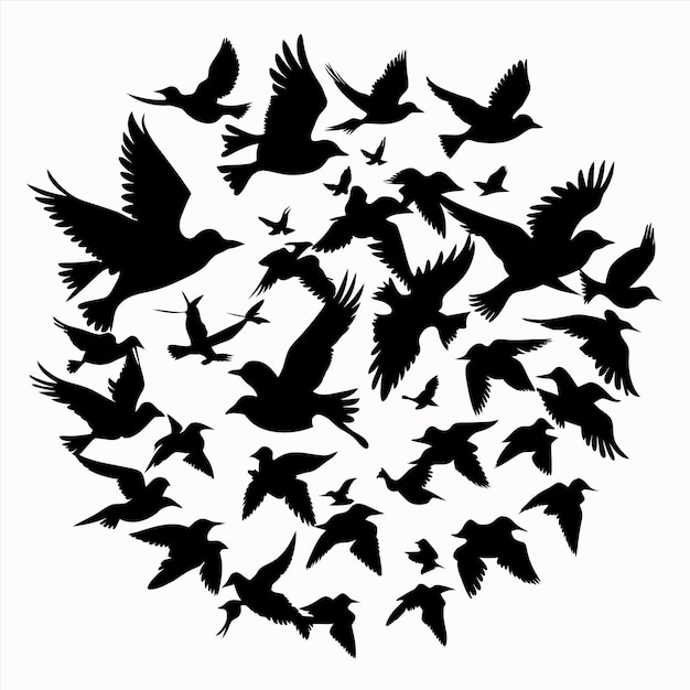 una bandada de aves en un círculo con un círculo de aves en el medio