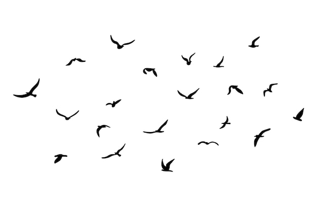 Vector una bandada de aves de silueta voladora negro en fondo blanco ilustración vectorial