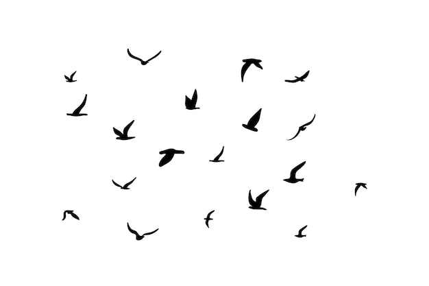 Una bandada de aves de silueta voladora Negro en fondo blanco Ilustración vectorial