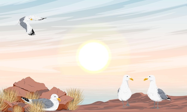 Una bandada de gaviotas en la orilla del mar al amanecer Rocky Beach Paisaje vectorial realista