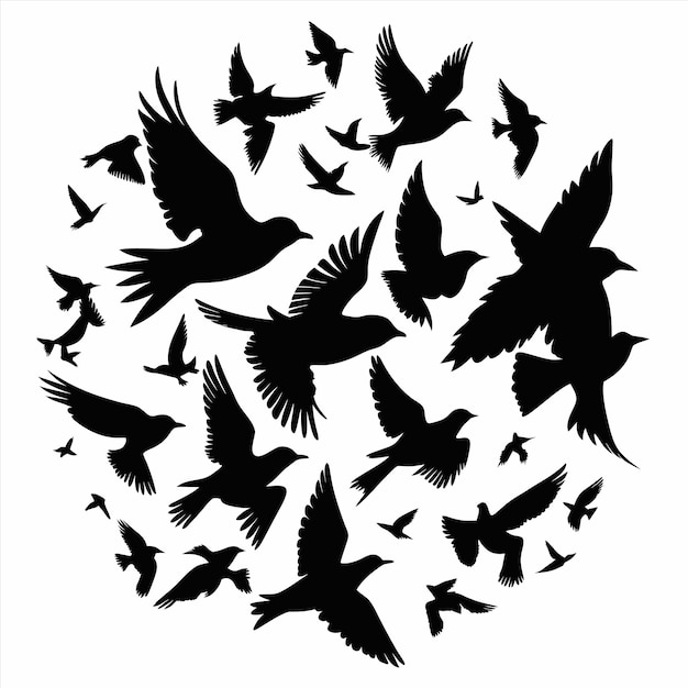 una bandada de pájaros en un círculo con un círculo de palabras libres en la parte inferior