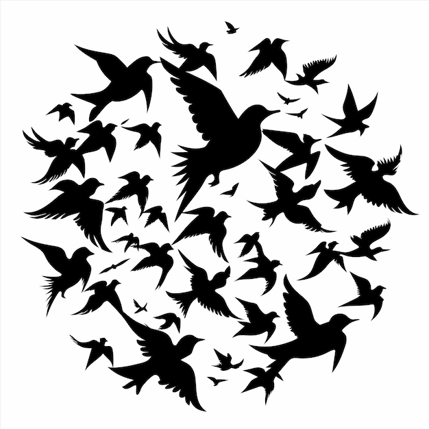 una bandada de pájaros en un círculo con un fondo blanco