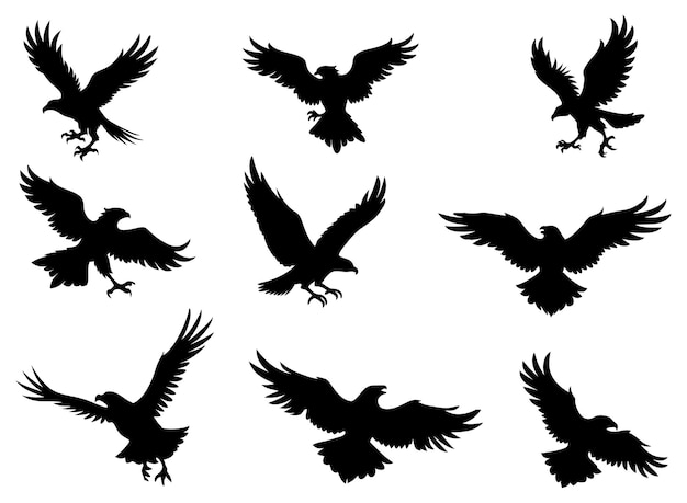 una bandada de pájaros con un fondo blanco con imágenes en blanco y negro