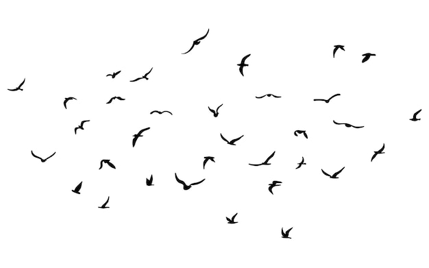 Vector una bandada de pájaros de silueta voladora negro sobre fondo blanco ilustración vectorial