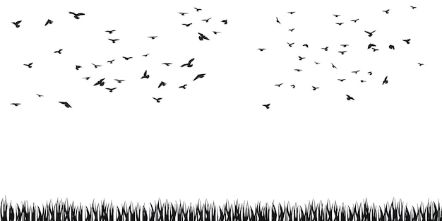 Una bandada de pájaros voladores silueta vuelo en diferentes posiciones Hover volando aterrizaje volando aleteo