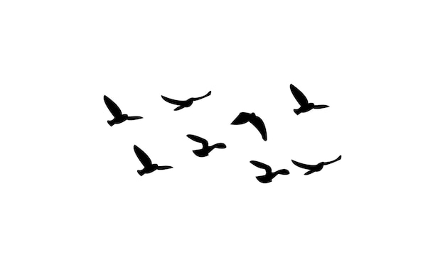 una bandada de pájaros volando en el cielo