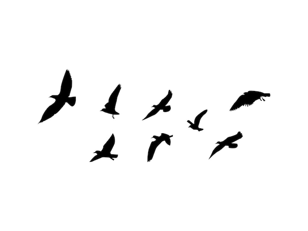 Bandada de pájaros vuela silueta negra sobre fondo blanco.