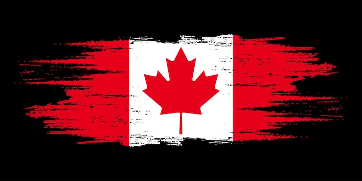 Vector bandeja de pincel de la bandera canadiense elemento de diseño de la bandera de acuarela