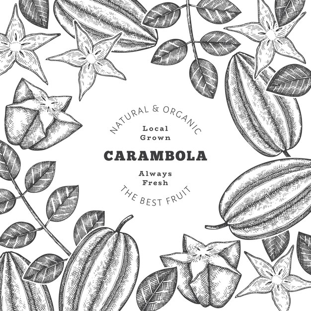 Vector bandera de carambola estilo boceto dibujado a mano. ilustración de fruta fresca orgánica. plantilla de fruta retro