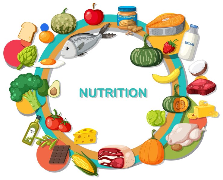 Vector bandera del círculo de frutas y verduras de la frontera de nutrición