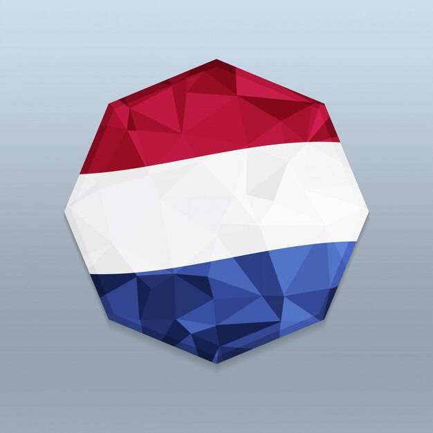 Vector bandera de croacia con vector de diseño octagone