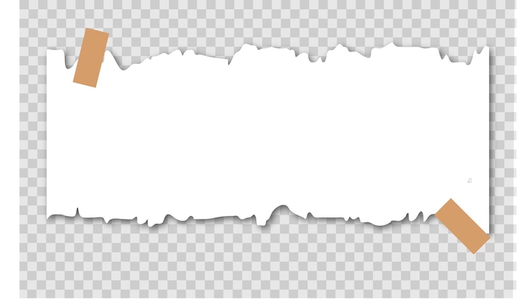 Vector bandera de diseño web