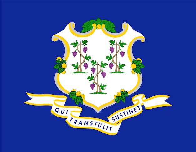 Bandera del estado de Connecticut Ilustración vectorial
