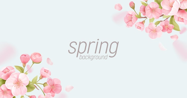 Bandera floral realista de flores de Sakura. Diseño de tarjeta de felicitación de vector de flor de cerezo. Fondo de ilustración de flor de primavera, plantilla de cartel exótico, vale, folleto, volante