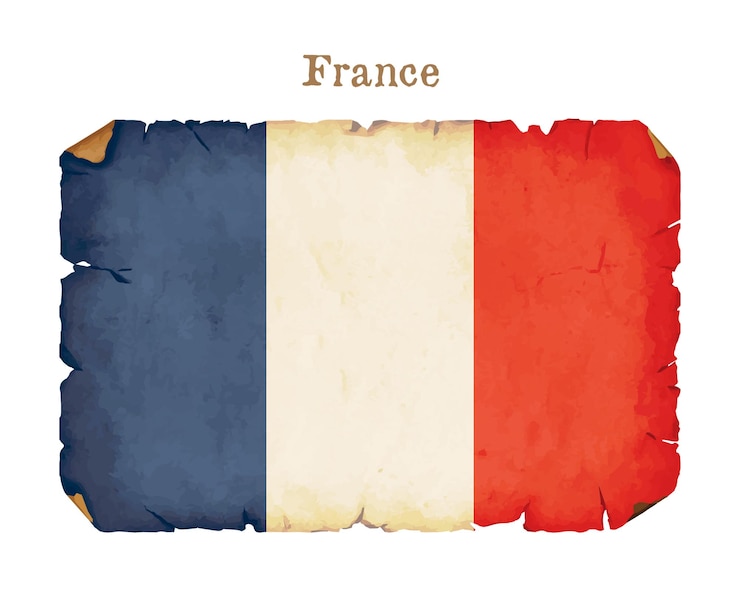Vector bandera de francia estilo antiguo vintage bandera retro de francia ilustración vectorial