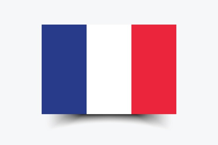 Vector bandera de francia