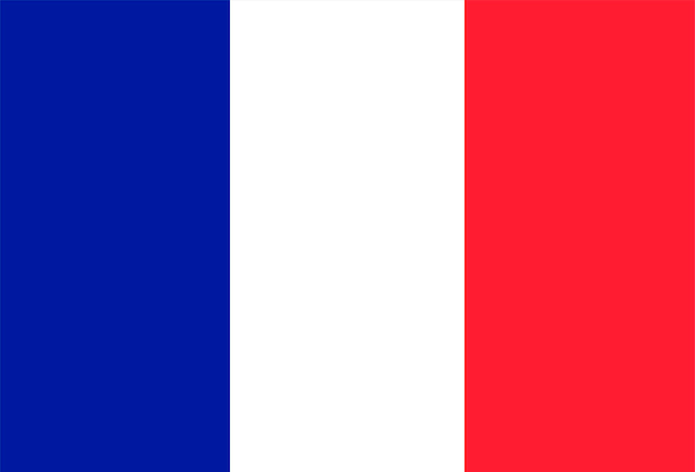 Vector bandera de francia