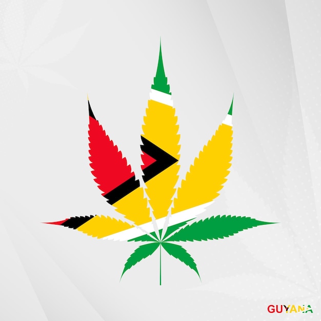 Bandera de Guyana en forma de hoja de marihuana. El concepto de legalización del Cannabis en Guyana.