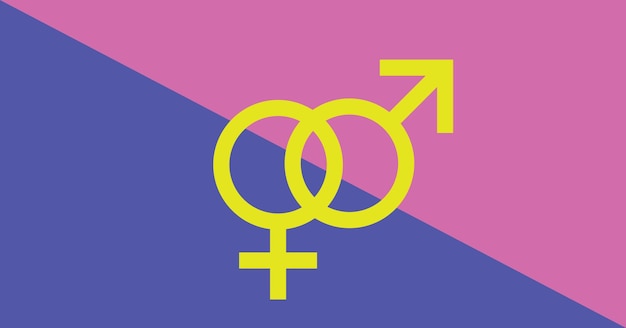 Bandera heterosexual Bandera de diseño vectorial plano con símbolos de género